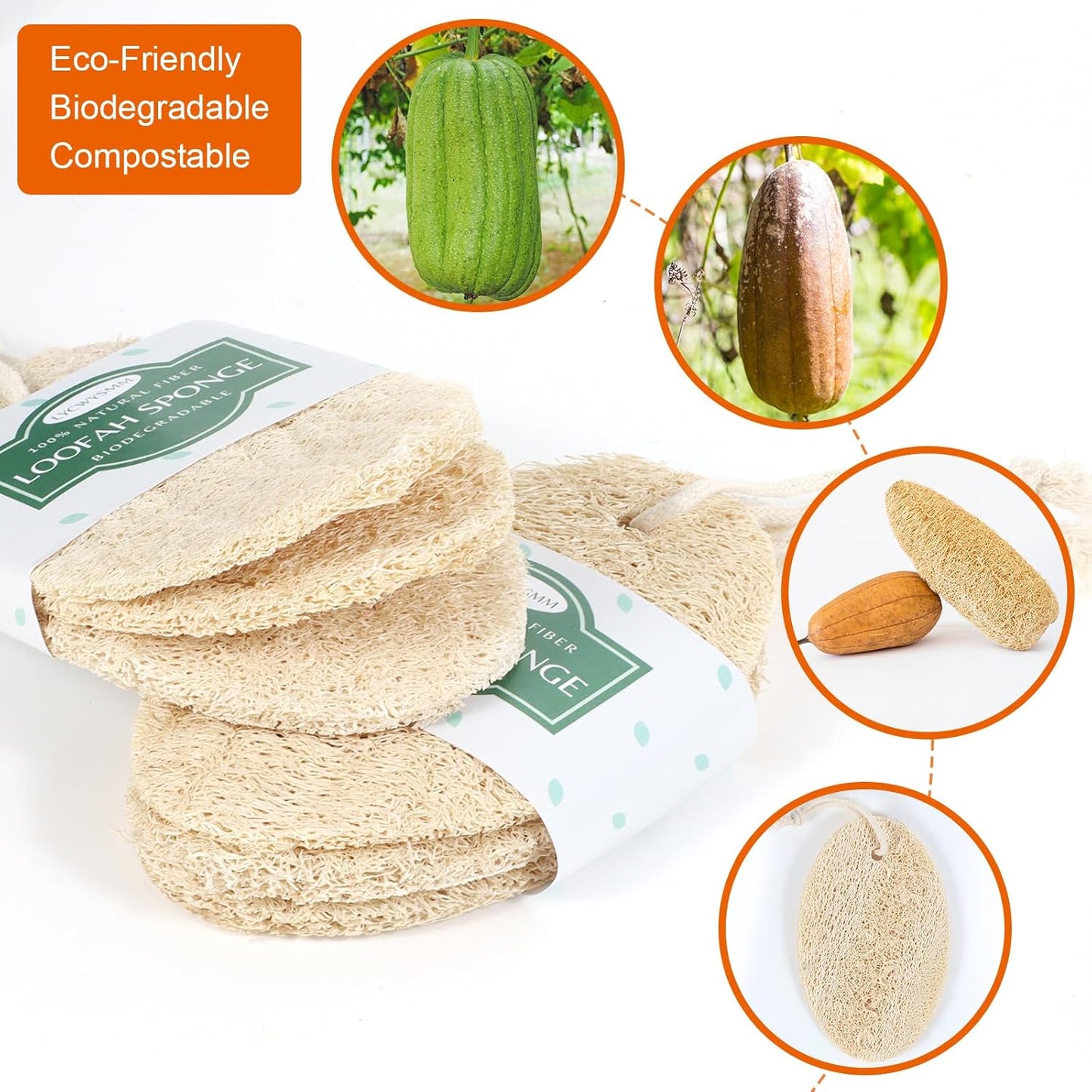 Natural Exfoliating Loofah Sponge, Loofah Exfoliating Body Scrubber, Loofah Body Shower Scrubber, Shower Sponge for Body, Shower Friendly Loofah(Pack of 3)