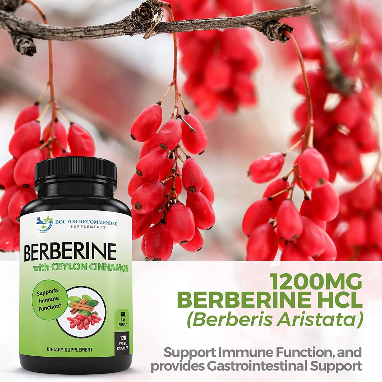 Berberine with Ceylon Cinnamon - 1200Mg Berberine & 100Mg Organic Ceylon Cinnamon - 120 Veggie Capsules, Healthy Immune System & Gastrointestinal Wellness